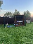 фото Вольер для собак 4*2 с выгулом