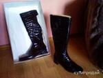 фото Сапоги женские демисезонные