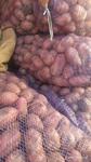 фото Домашняя картошка