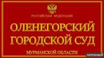 фото Представительство интересов в Оленегорском городском суде Мурманской области