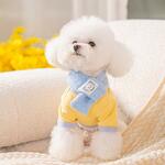 фото одежда для собак