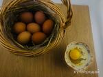 фото Домашнее куриное яйцо