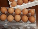 фото Продам яйцо куронное, всегда свежее