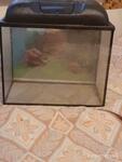 фото Продаю аквариум 20 литров.