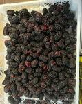 фото Ежевика свежие
