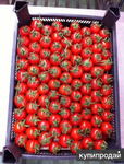 фото Помидоры оптом из Турции