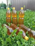 фото Продам горный мед