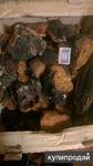 фото чага 150гр.-100руб.