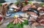 фото Рыба, морепродукты(г/к, х/к, вялка, соленая),п/ф, готовая продукция.