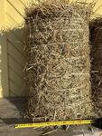 фото Сено в минирулонах по 16-18 кг