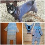 фото Шапочка/свитер/комбинезон для котов и собак