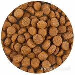 фото Сухой корм для кошек разный в ассортименте