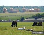 фото Земельные участки ИЖС у реки