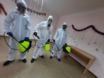 фото Дезинфекция, дезинсекция, дератизация и акарицидная обработка от профессионалов