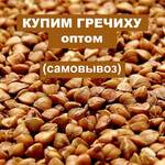 фото Куплю гречиху оптом, самовывоз