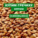 фото Куплю гречку оптом, самовывоз