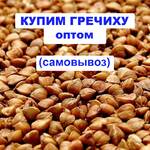 фото Купим гречиху от 40 тонн, возможен самовывоз
