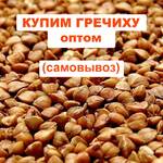 фото Куплю гречку (самовывоз от 40 тонн)