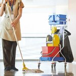 фото Требуется: Горничная, Московская область, Рублёво - Успенское шоссе, Горки-2.