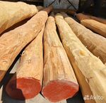 фото Акация, дуб, ясень, карагач пиломатериалы, кругляк оптом от производителя.