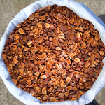 фото Скорлупа кедрового ореха