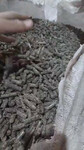 фото Жом свекловичный