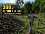 фото 300 м³ древесины и веток бесплатно. Самовывоз