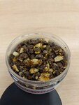 фото какао-нибсы