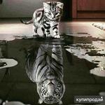 фото Жизнь в будущем