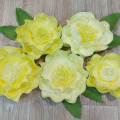 фото Lubov Lubimaj