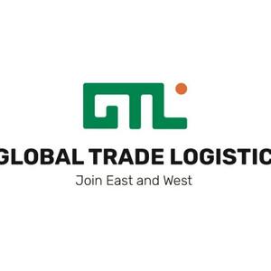 Лого ООО ДЖИ ТИ ЭЛЬ