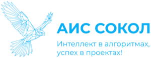 фото АИС Сокол