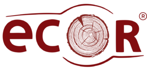 Лого ООО ЭКО-Р