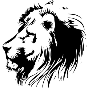 фото Юридические услуги Малкин и Партнеры