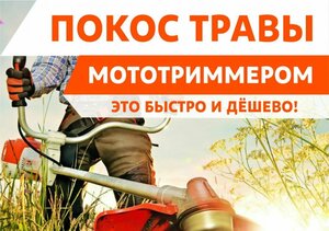 Лого Чистый город