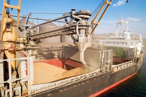 фото ИП Бровко Владимир Владимирович