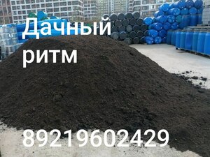 Лого Дачный Ритм