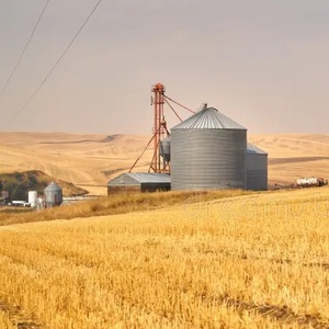 фото АО Новгородское Зерновое Предприятие 28