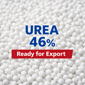 фото Компания