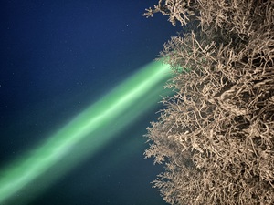 фото Северная лавка