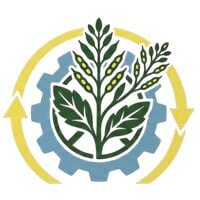 Лого ООО "Рапс"