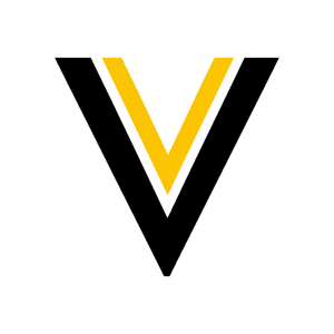 Лого ТРИАДА V